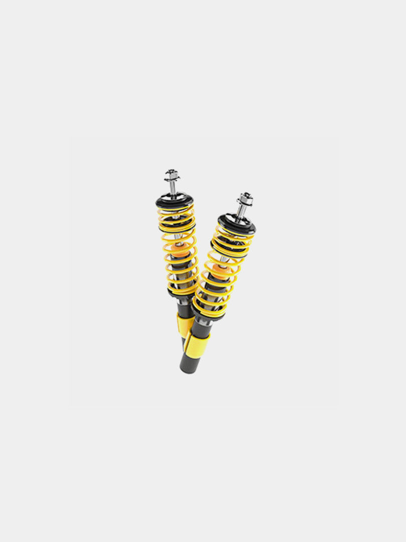 Strut Assembly
